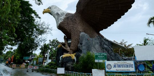 eagle