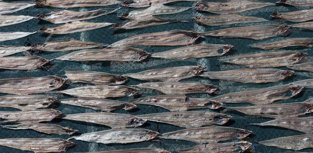 dried-fish-review1-1024x502